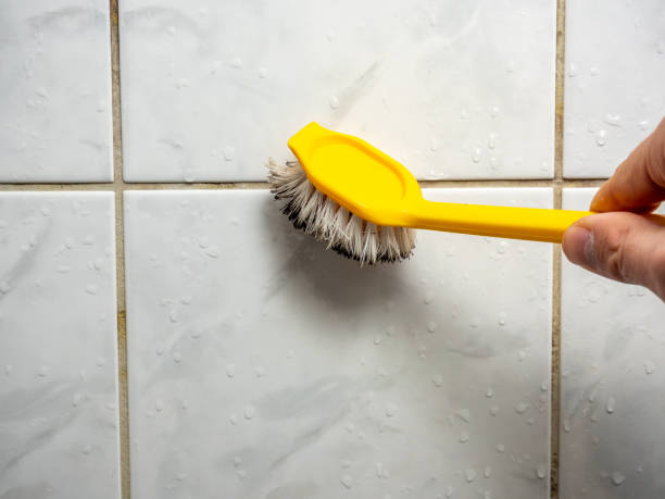Best Insurance-Related Mold Remediation in American Fork, UT